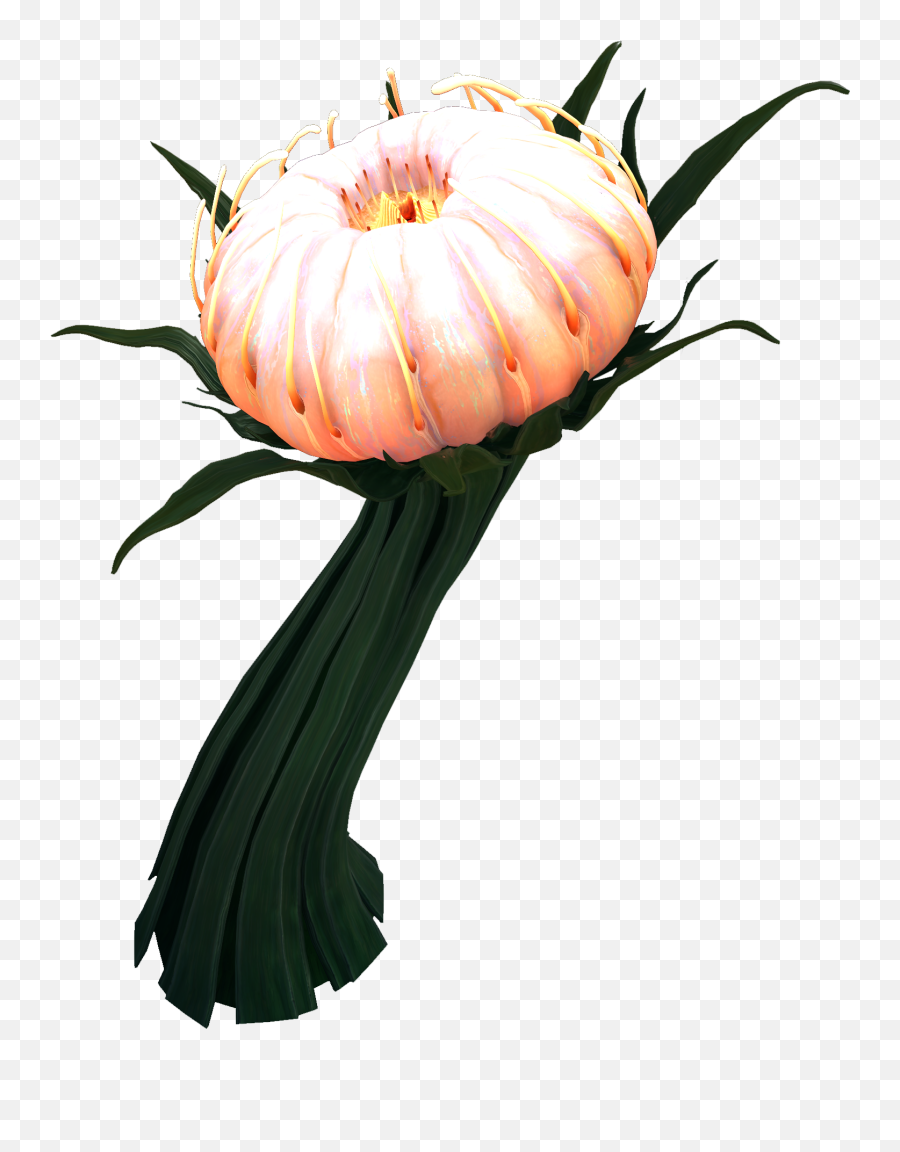 Grand Cotton Anemone Subnautica Below Zero Wiki Fandom - Deep Lilypads Subnautica Below Zero Png,Orange Flower Png