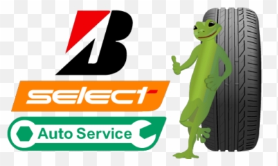 Bridgestone Select Gecko - Decals by BoltonNorks Select png