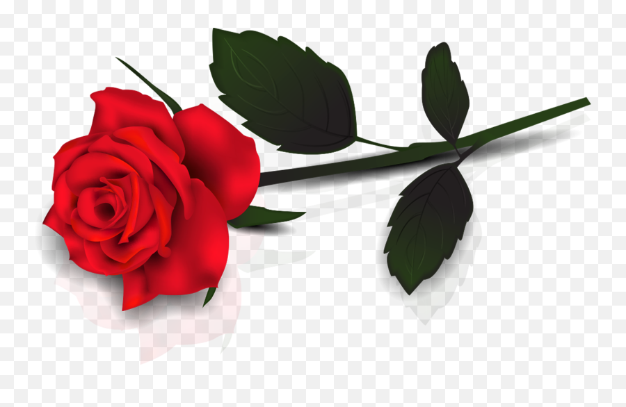 Rose Clipart Hd - Single Red Rose Clipart Png,Rose Png Hd
