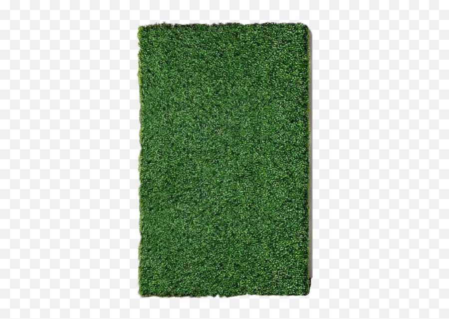 Faux Boxwood Wall - Carpet Png,Boxwood Png