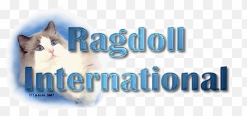 Graphic Design Portfolio Gbm - National Grid Png,Ragdoll Logos
