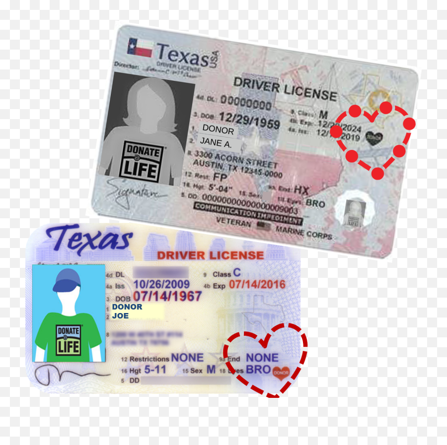 I Want Donu0027t The Heart - Texas Donor Registry Texas Organ Donor License Png,Donation Icon