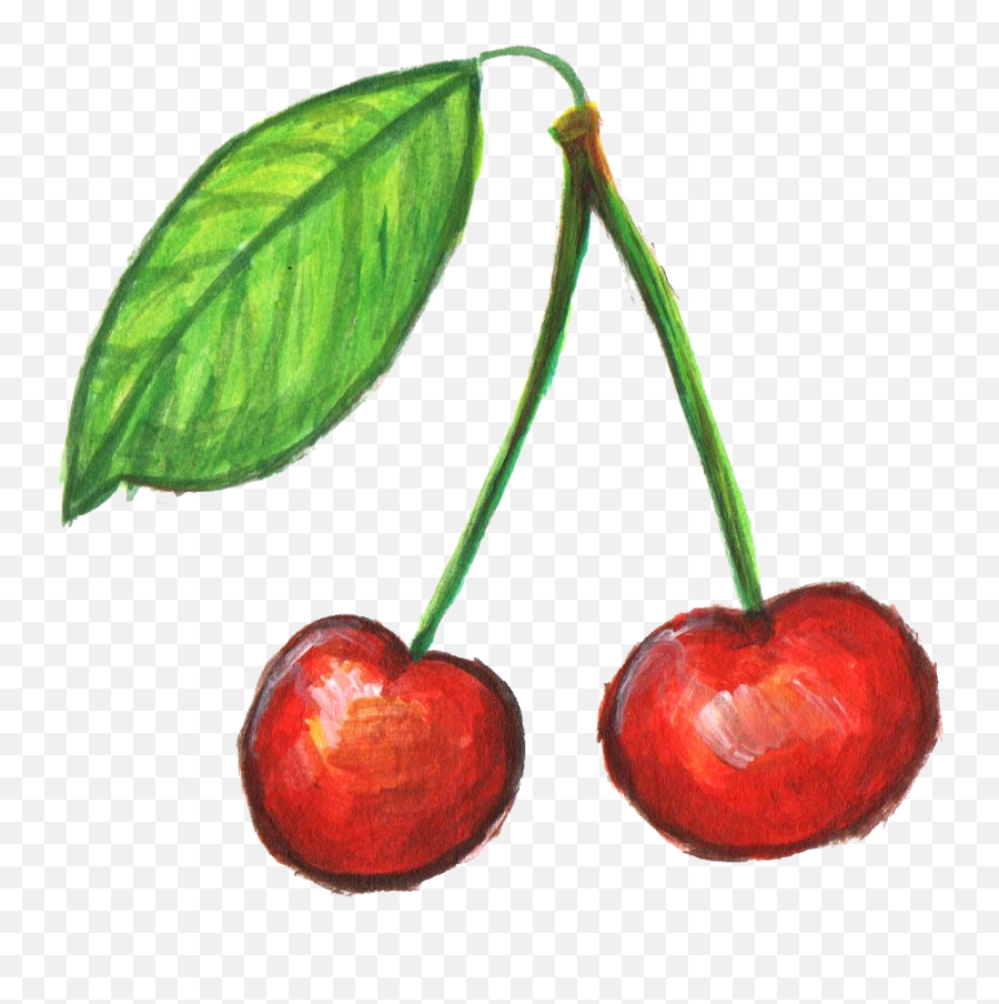 Cherry Png Transparent Images - Paint Fruits Png Transparent Painted Fruits Png,Fruits Png