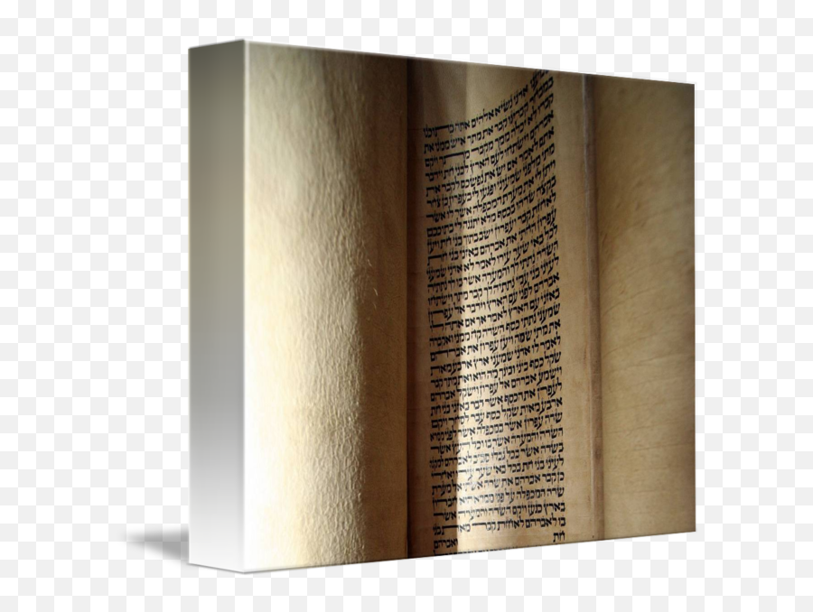 Ancient Torah Scroll Open To Chayei Sarah By David Wilder - Plywood Png,Torah Png