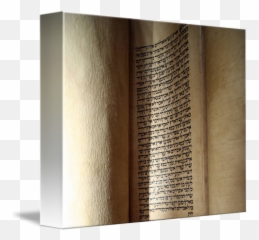 Ancient Torah Scroll Open To Chayei Sarah By David Wilder - Plywood Png,Torah Png