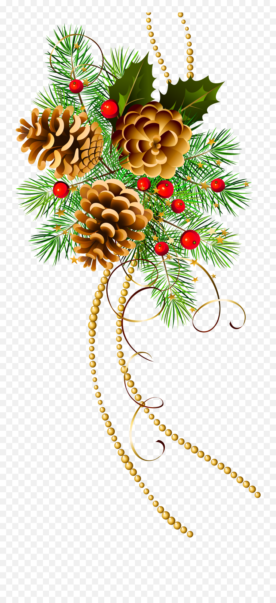 Pine And Cones Christmas Clip Art Large Png Branch