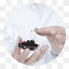 Toxikolog Lön - Composting png