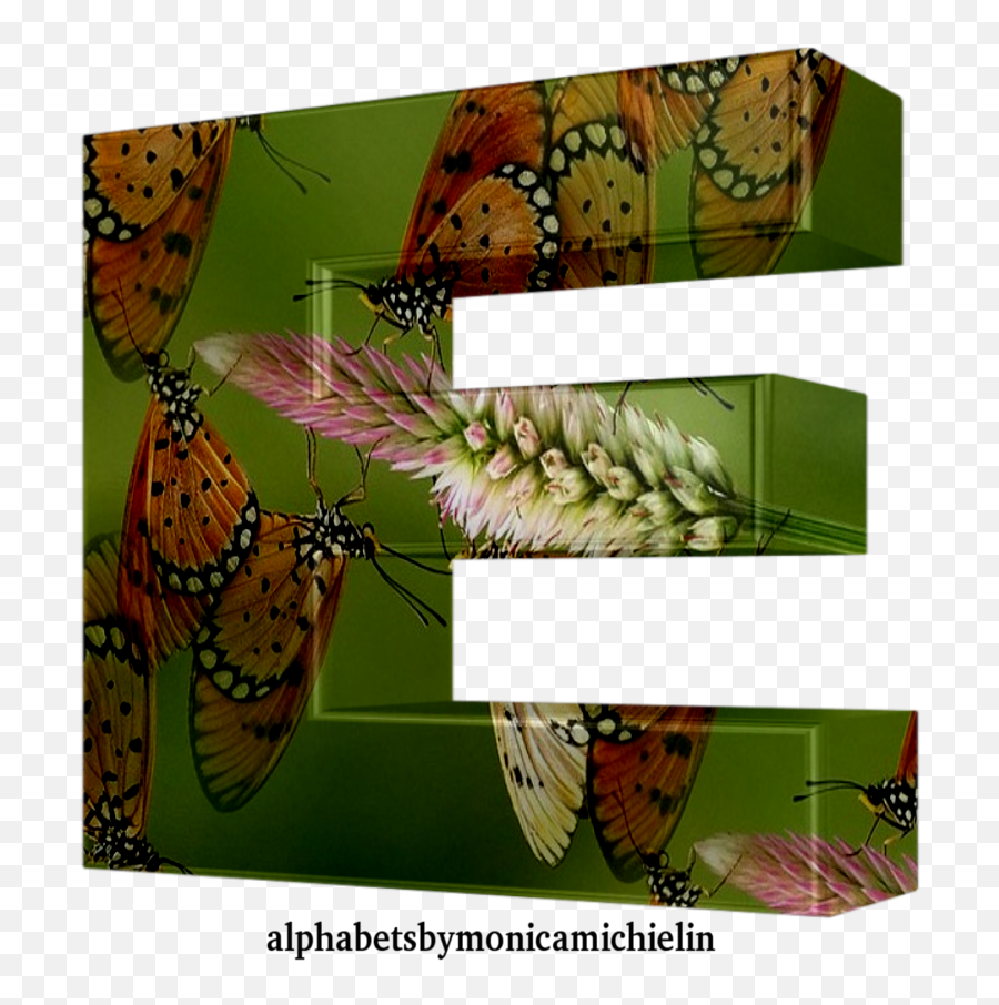 Monica Michielin Alphabets Orange Green Butterflies - Monarch Butterfly Png,Icon Viceroy
