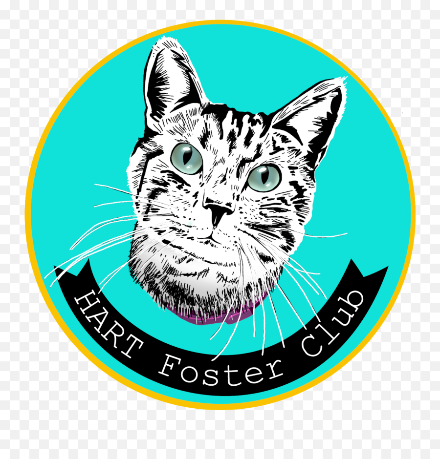 Homeless Animal Rescue Team - Domestic Cat Png,Cat Icon Ico
