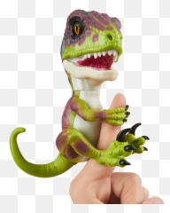 Meet Stealth Part Of The Velociraptor Collection Untamed - Raptor png