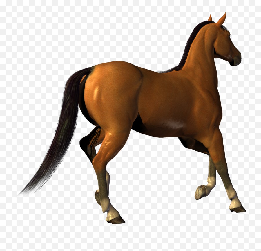 Horse Legs Up Transparent Png Clipart - Horse Gif Transparent Background,White Horse Png