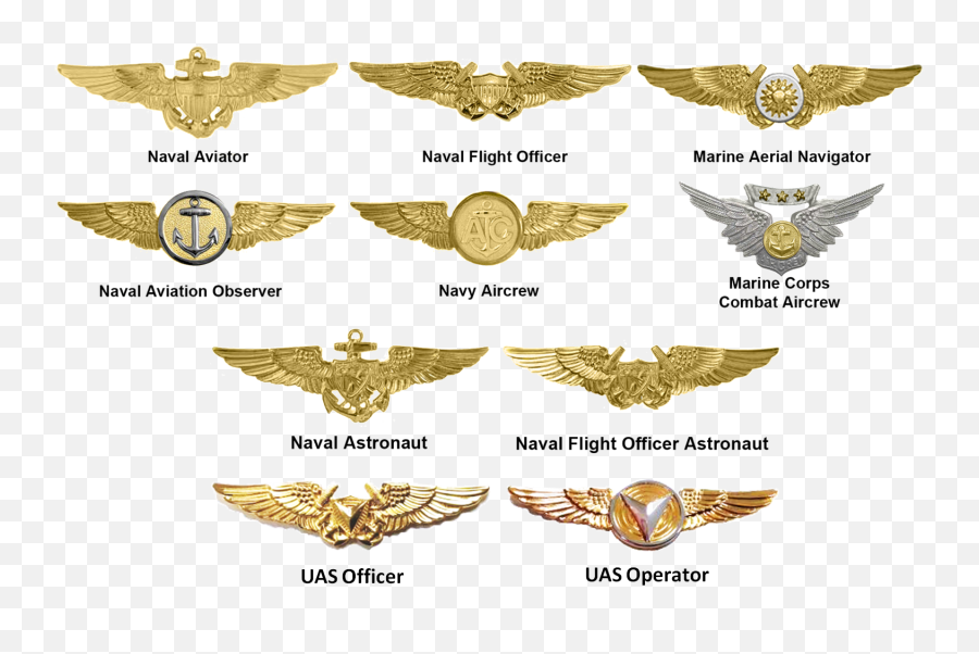Badges Of The United States Marine Corps Military Wiki - Navy Warfare Pins Png,Marine Corp Icon