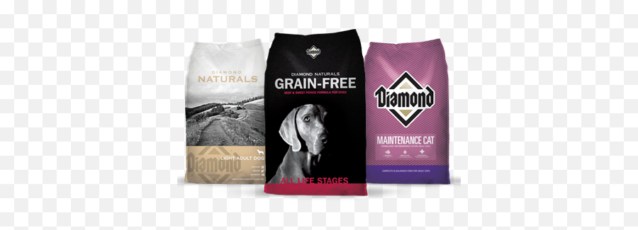 Our Feeds - Powell Feed Png,Diamond Dogs Icon