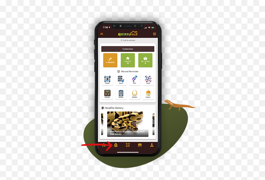 Manage Your Reptile Profile Easily With The Herpville App - Smartphone Png,Add Record Icon