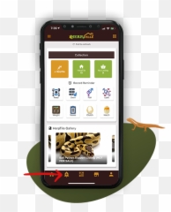 Manage Your Reptile Profile Easily With The Herpville App - Smartphone png