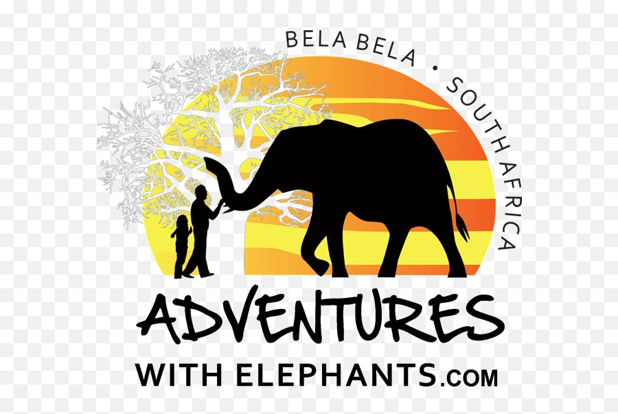 Our Reserve U2014 Adventures With Elephants - Adventures With Elephants Png,Elephant Silhouette Png