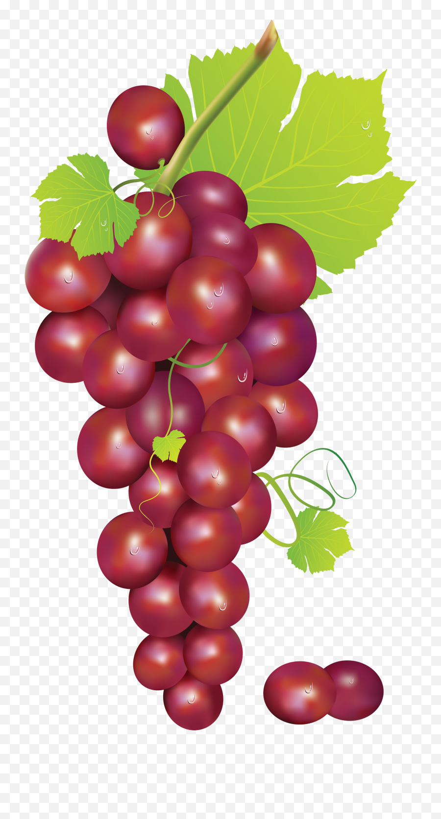 Grape Png Image - Red Grapes Clipart,Grapes Png