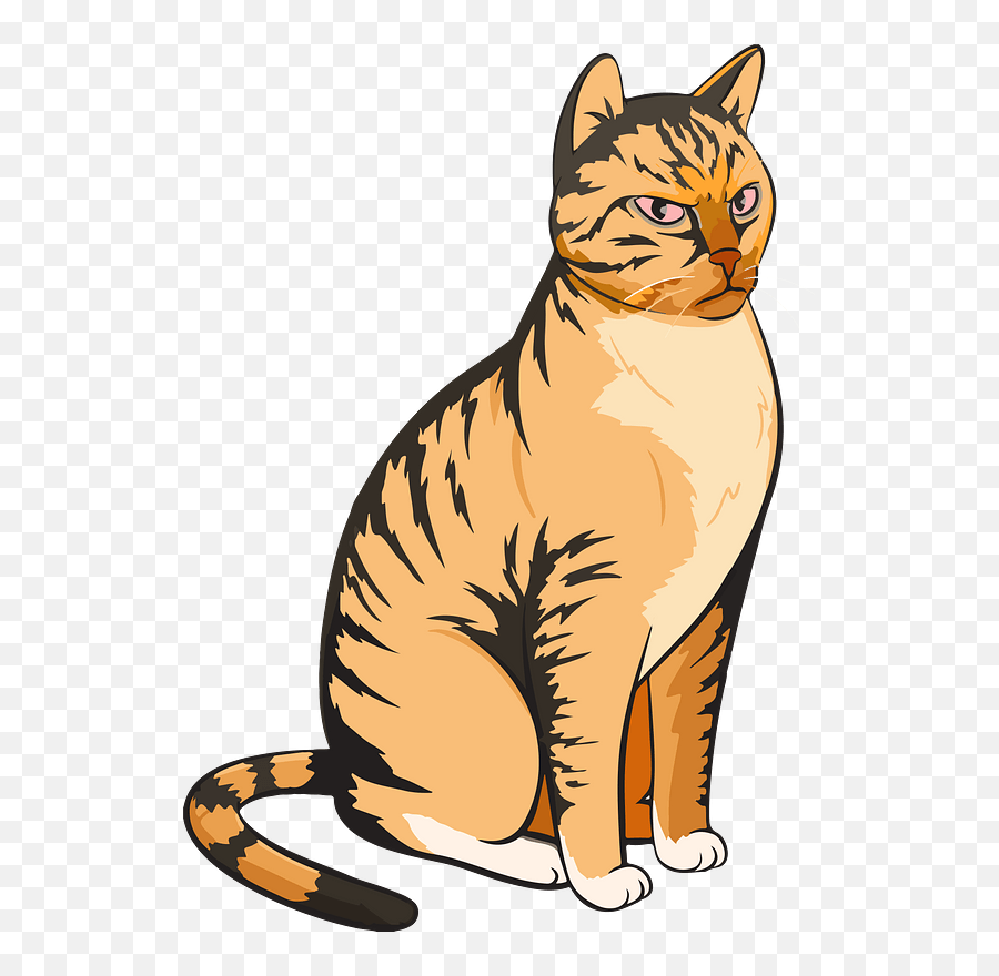 Cat Vector An Angry Cute - Gray Domestic Cat Cartoon Png,Cat Vector Png -  free transparent png images 