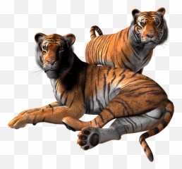 Tigre Sticker - Imagenes Png De Animales,Tigre Png