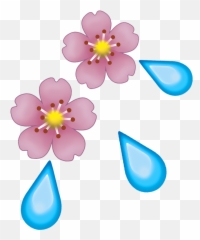 Download Rose Emoji Iphone Png Image - Emoji Florecita,Rose Emoji Png