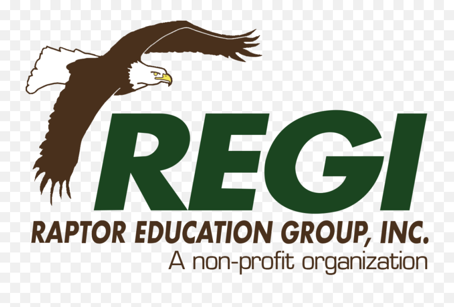 Raptor Education Group Inc - Raptor Education Group Inc Png,Raptors Png