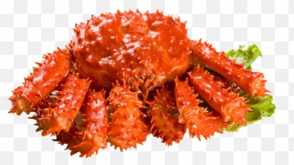 Alaskan King Crab - Carrot Flakes Png,Crabs Png