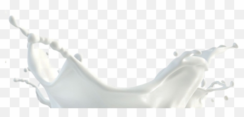 Milk Splash Png Photo Clipart Vectors - File