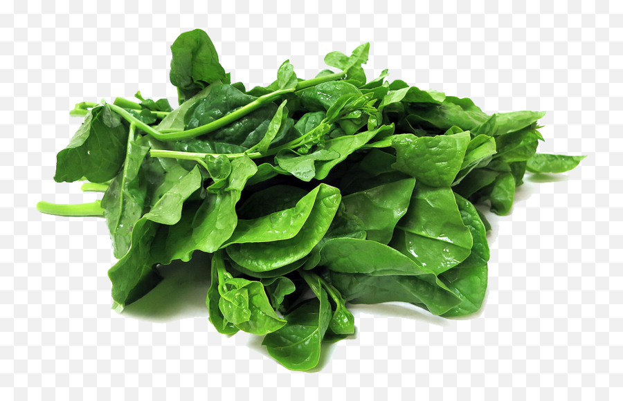 Spinach Transparent Png - Spinach Transparent Png,Spinach Png