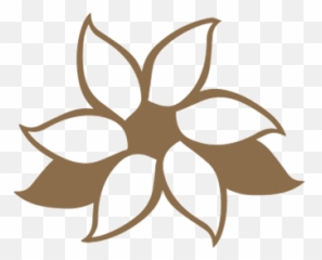 Sold Out - Flower Mothers Day Drawings Png,Dogwood Png