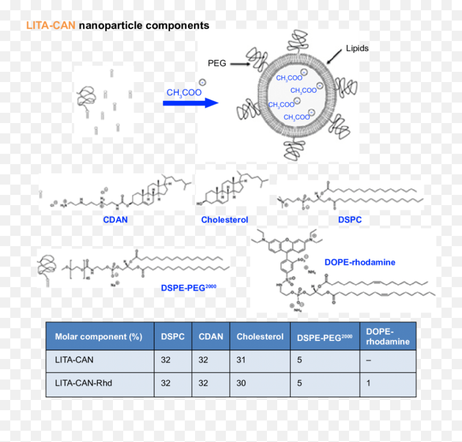 S1 Lita Nanoparticle Design Principles - Screenshot Png,Lita Png