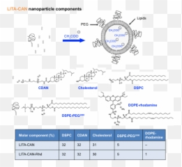 S1 Lita Nanoparticle Design Principles - Screenshot Png,Lita Png