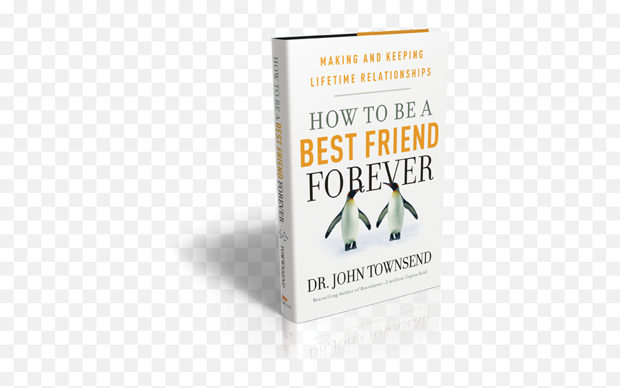 How To Be A Best Friend Forever Series - Audiomp3 Poster Png,Best Friend Png