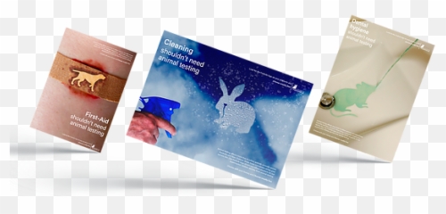 Foxhole Home - Flyer Png,Flyers Png