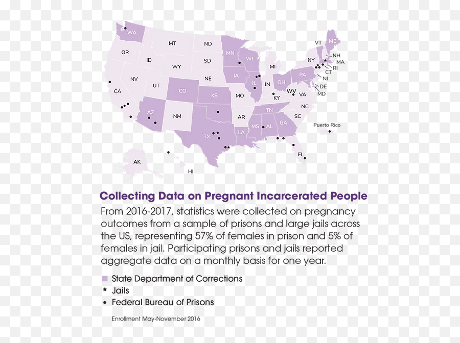 Pregnancy In Prison Statistics Pips The Project - States With Death With Dignity Laws Png,Prison Bars Png