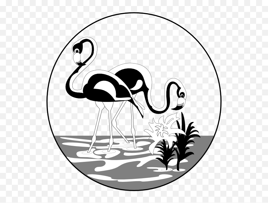 Black And White Flamingos Clip Art - Vector Black And White Flamingo Vector Png,Flamingo Clipart Png