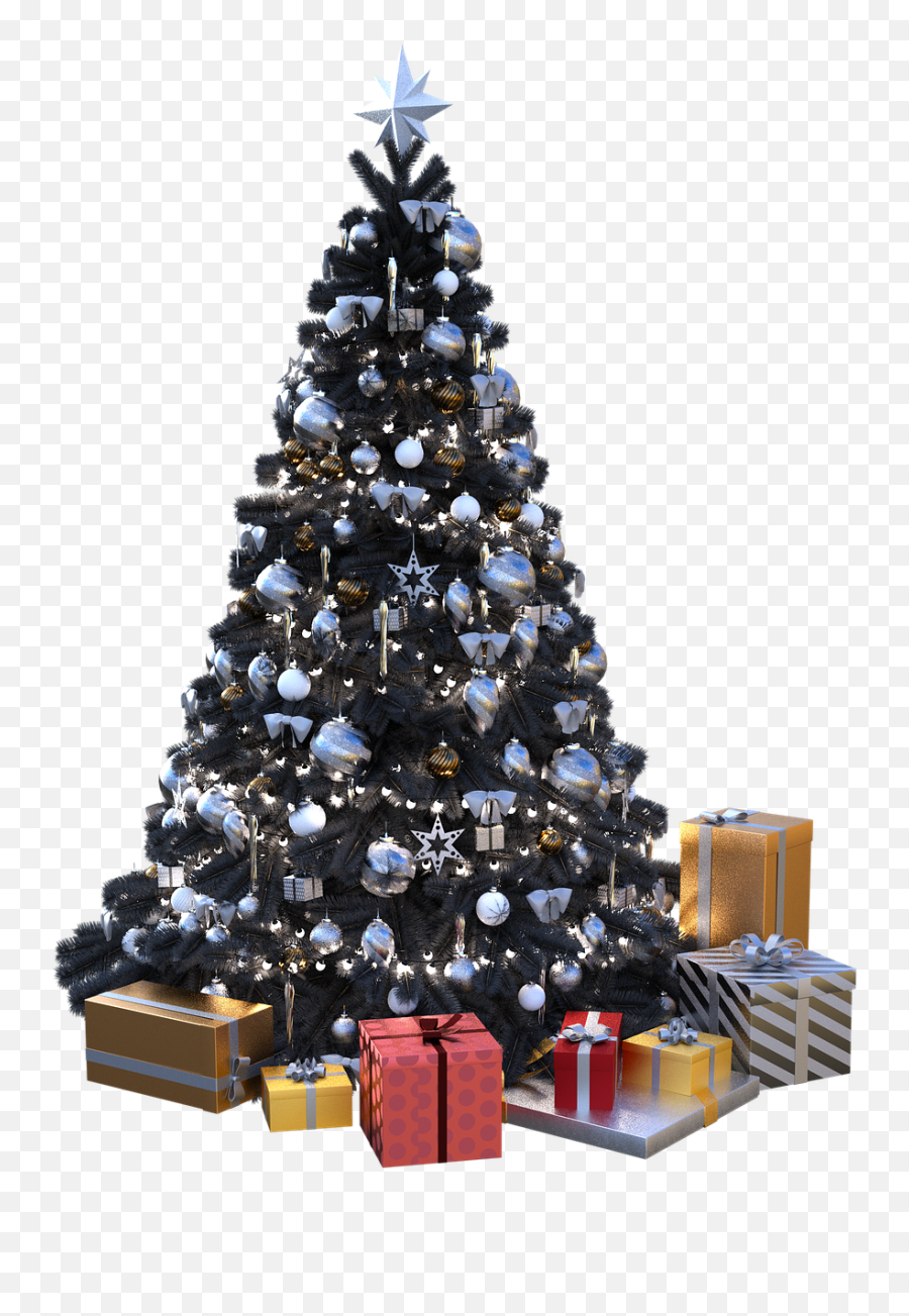 Christmas Tree Black - Free Image On Pixabay Christmas Tree Png,Twinkle Lights Png