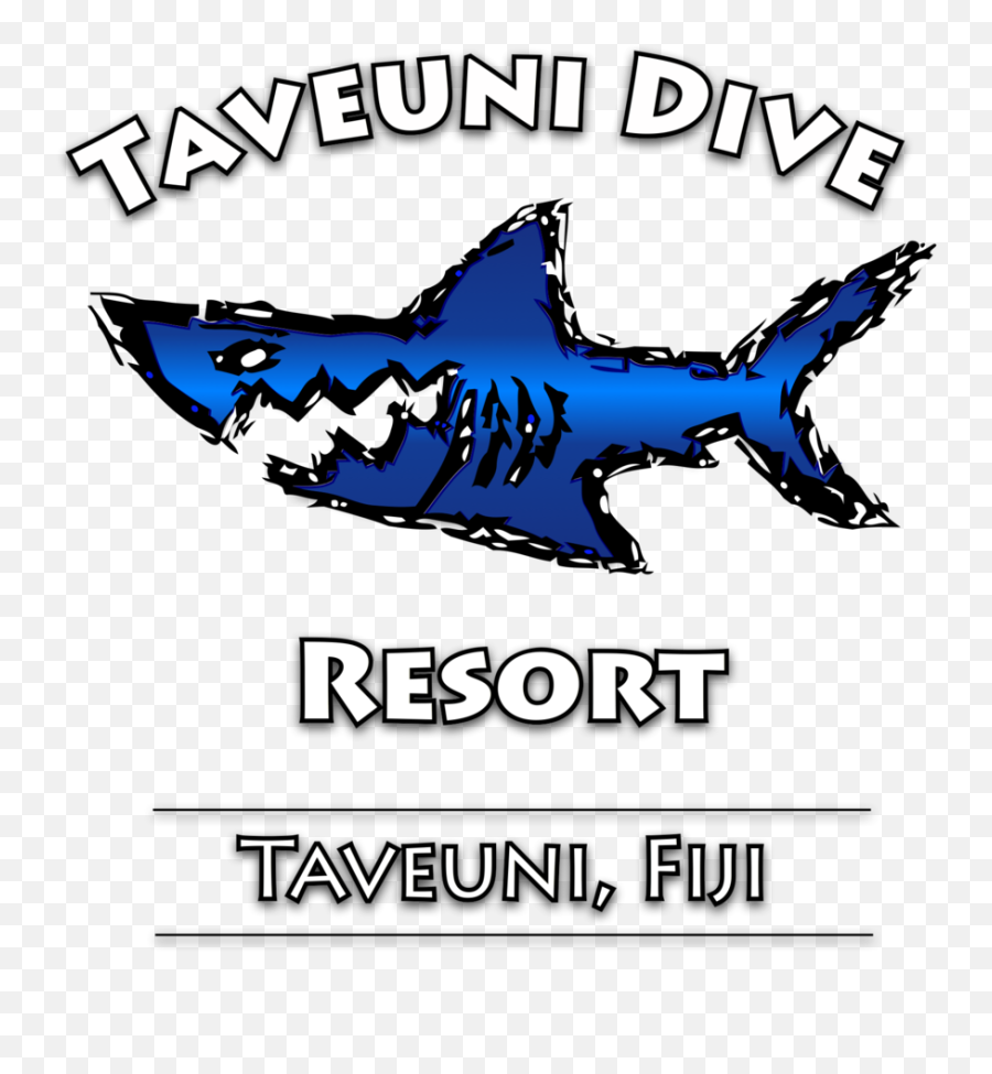 Diving Photos U2014 Taveuni Dive Resort - Taveuni Dive Resort Png,Transparent Ribbon Eel