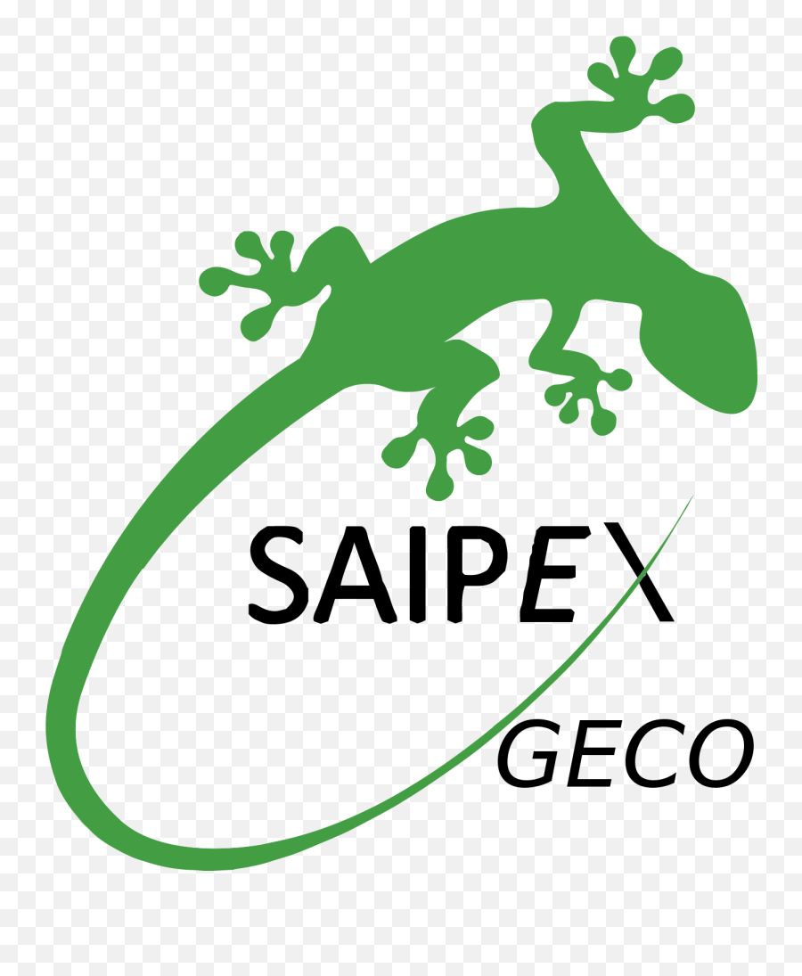 Lizard Clipart Geco Transparent Free For - Iguania Png,Lizard Transparent