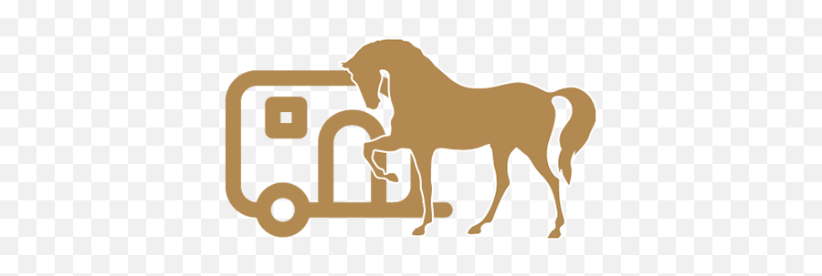 Training - Berlinsporthorses Horse Supplies Png,Horse Rider Icon