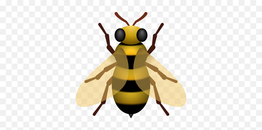 Honeybee Icon U2013 Free Download Png And Vector - Parasitism,Free Bee Icon