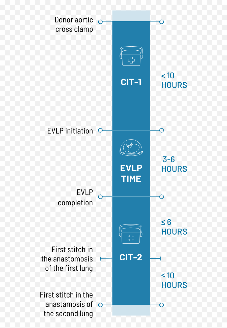 Lung Bioengineering Transplant Center Faqs - Vertical Png,Stitch Icon Tumblr