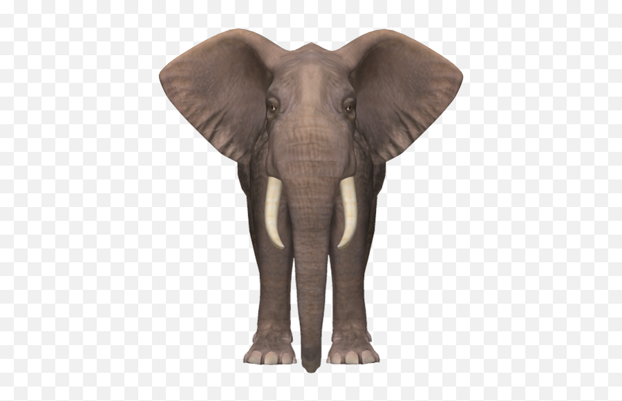 Bahubali Elephant Png Clipart (#3012306) - PikPng