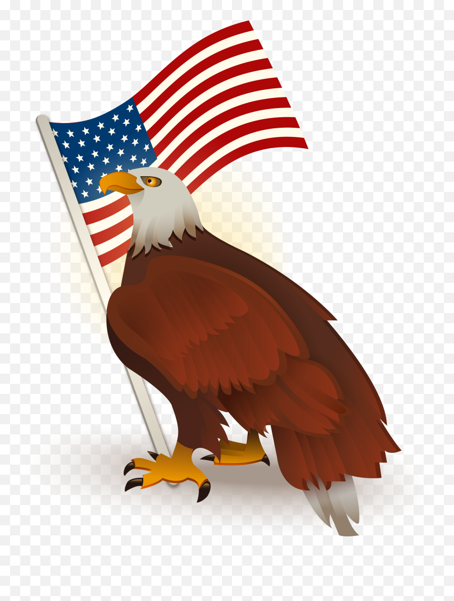 Hawk Transparent Flag Picture 1408576 - Bald Eagle Png,Bald Eagle Transparent