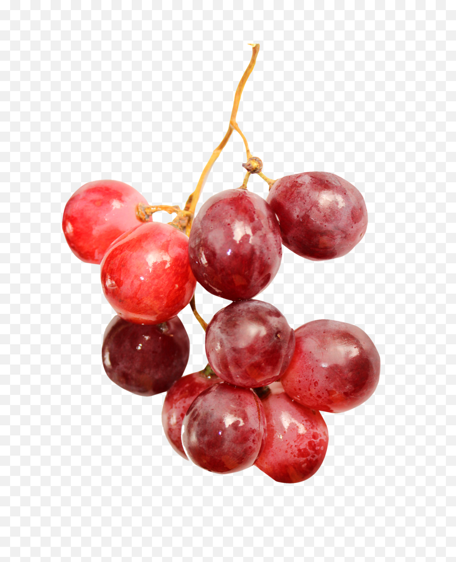 Red Grapes Png Image - Transparent Red Grapes Png,Grapes Png