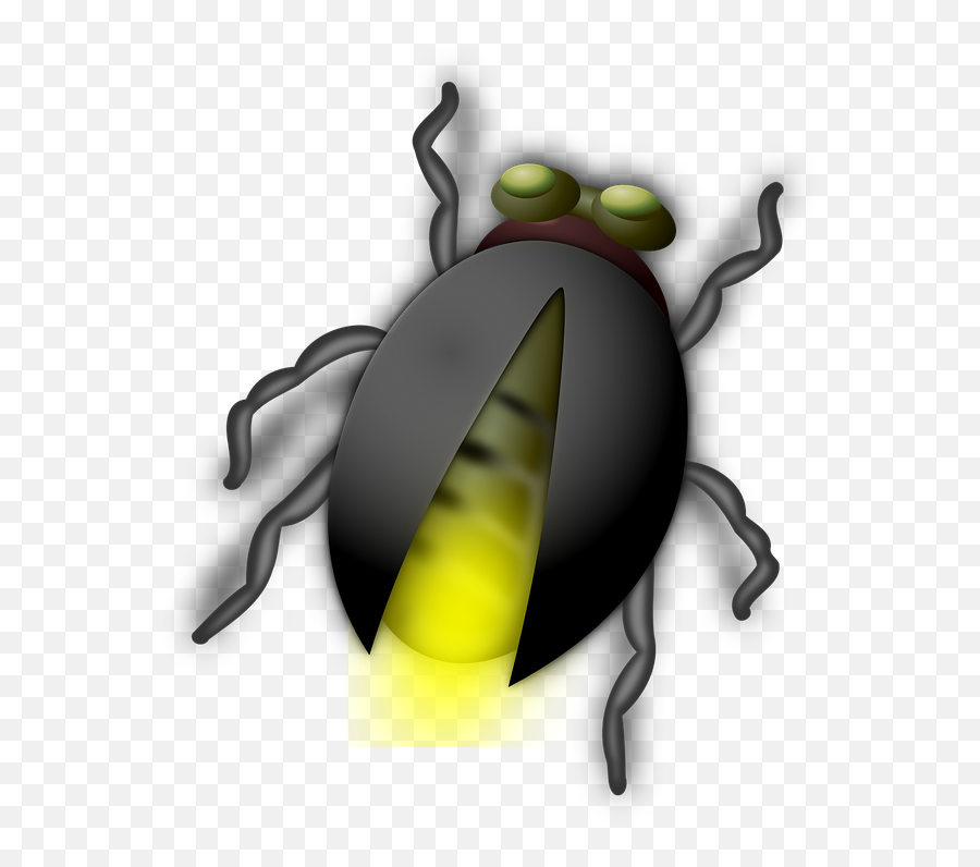 Glow Worm Glowworm Bug - Autumn Family Programs Powerpoint Png,Worm Png