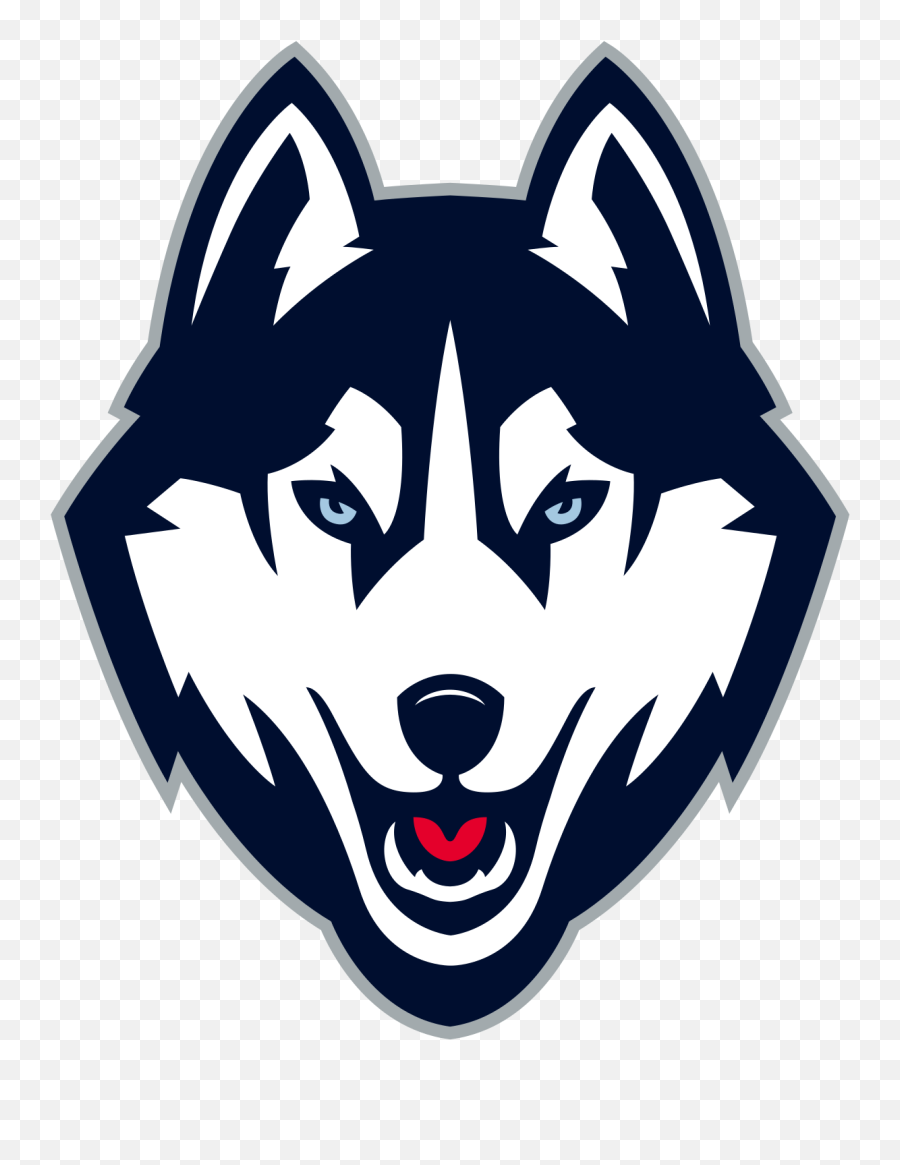 Husky Svg Washington Transparent U0026 Png Clipart Free Download - Uconn Husky Logo,Husky Png