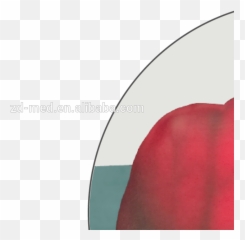 Download Vein Finder U0026 Transilluminator Find Veins For - Circle Png,Vein Png