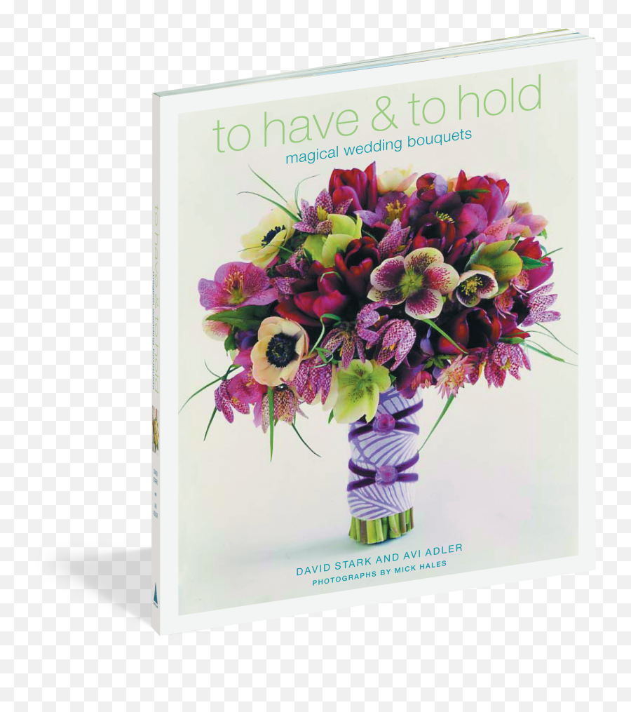 To Have U0026 Hold - Franske Anemoner Og Ranunkler Png,Real Flowers Png