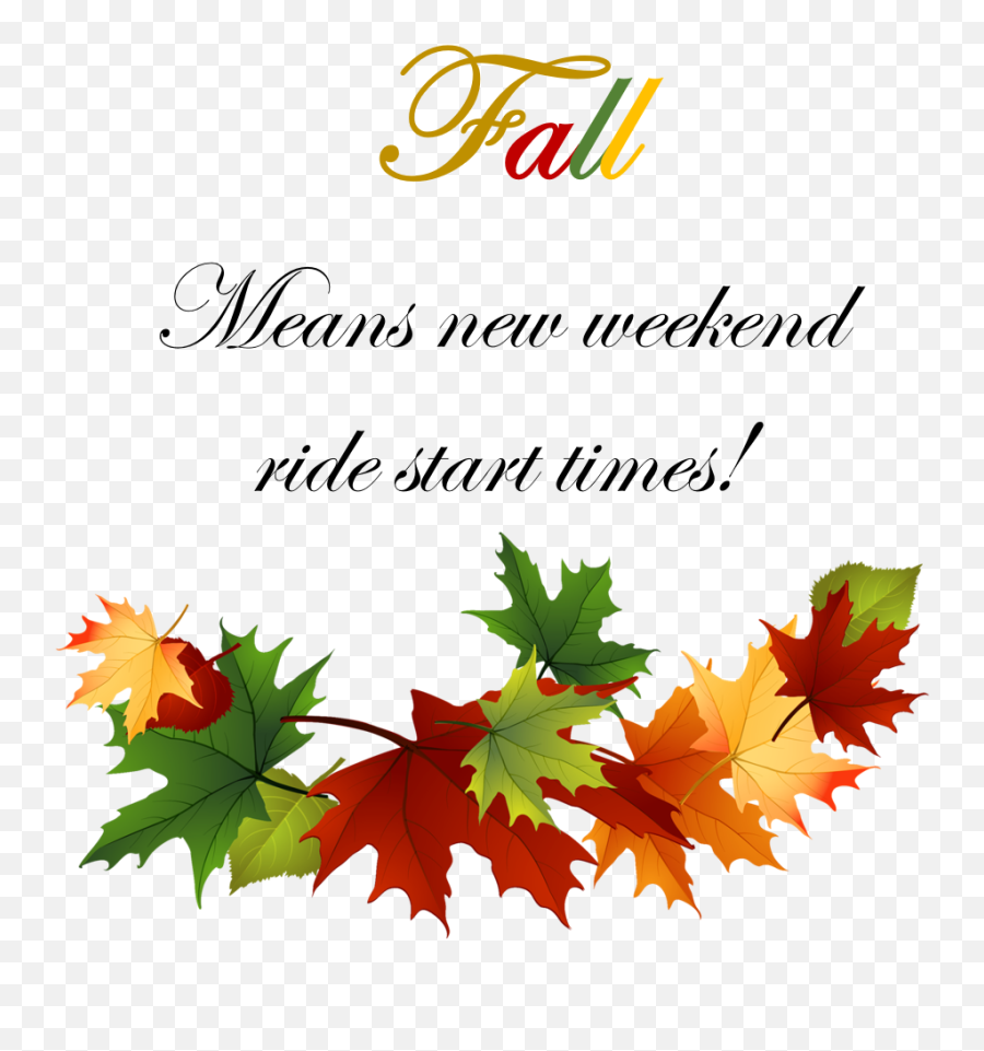 Fall Start Times U2013 Shawnee Trail Cycling Club - Maple Leaves Border Clip Art Png,Fall Leave Png