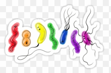 Pride Rainbow Bacteriau0027 Sticker By The Vexed Muddler - Bacterias Sticker Png,Bacteria Transparent Background